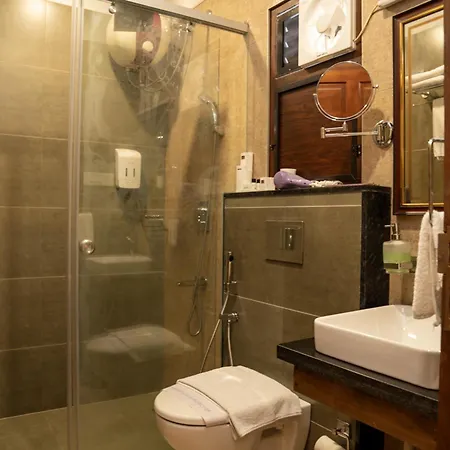 Dutch Manor Boutique Hotel-3