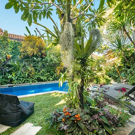 Angel House Ubud Eco Villa-3