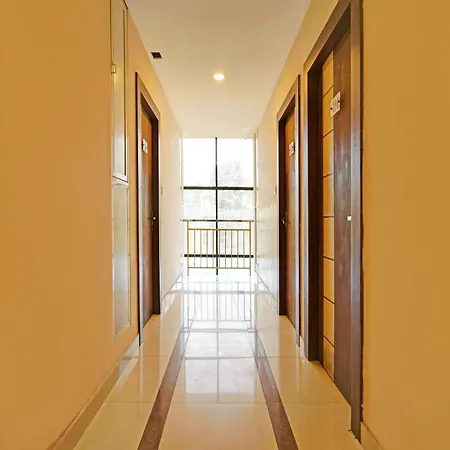 Super Collection O Golden Avenue-2