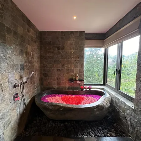Fivelements Retreat Bali, Ubud-3