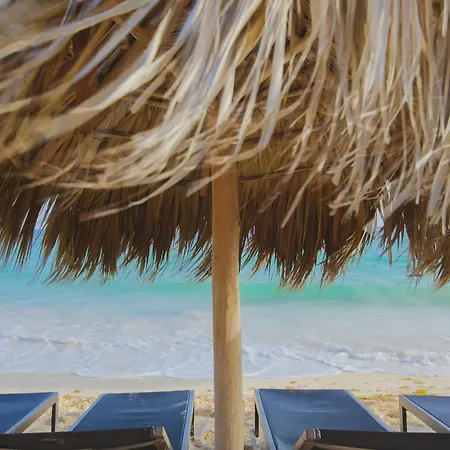 Royalton Splash Punta Cana, An Autograph Collection All-Inclusive Resort & Casino-2