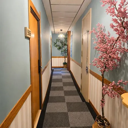 Hostal Luxury Green Madrid Gran Via-3