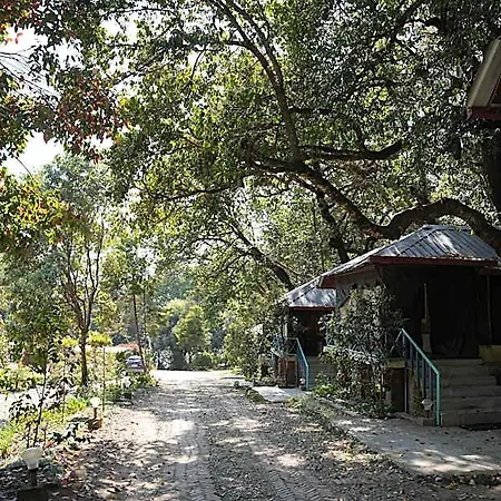 Latitude 29 By The Lake Resort-2
