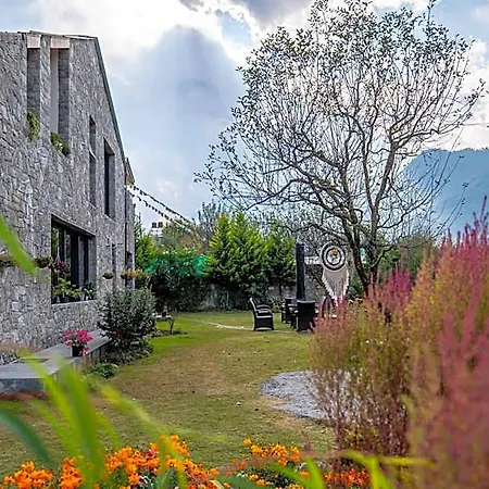 The Saltbox Manali-3