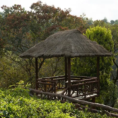 Eterno Camellia & Elettaria Luxury Resort Munnar-3