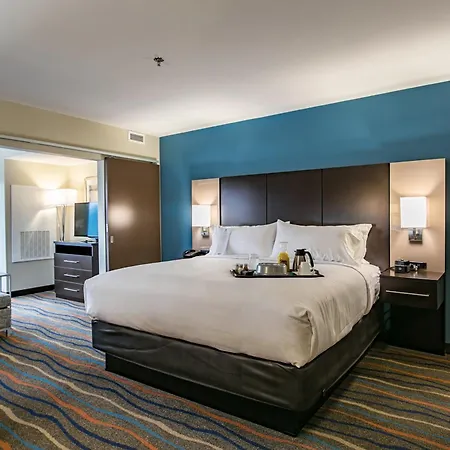 Holiday Inn & Suites Chattanooga Downtown By Ihg-3
