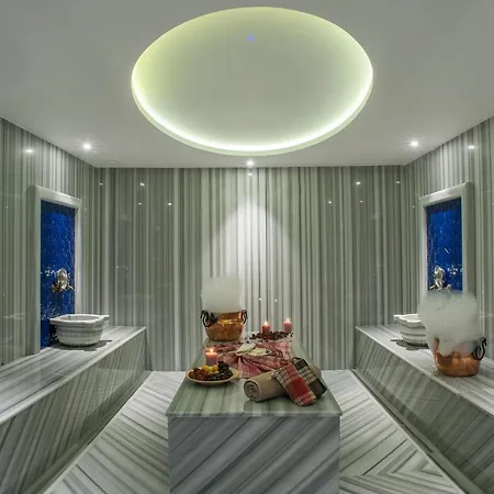 Holiday Inn Istanbul - Tuzla Bay By Ihg-2