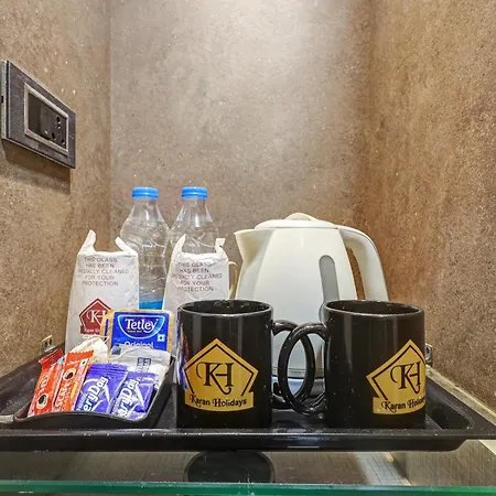 Hotel Karan Holidays Near Pitampura Metro Station-3