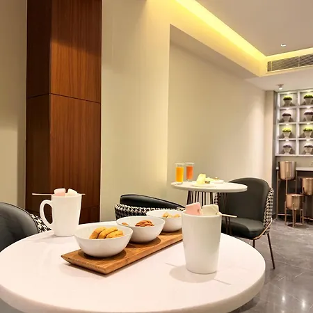 The Prime Delhi, A Luxury Collection Hotel New Delhi-2