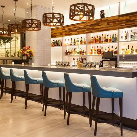 Innside By Melia New York Nomad-2