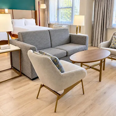Holiday Inn Houston S - Nrg Area - Med Ctr By Ihg-2