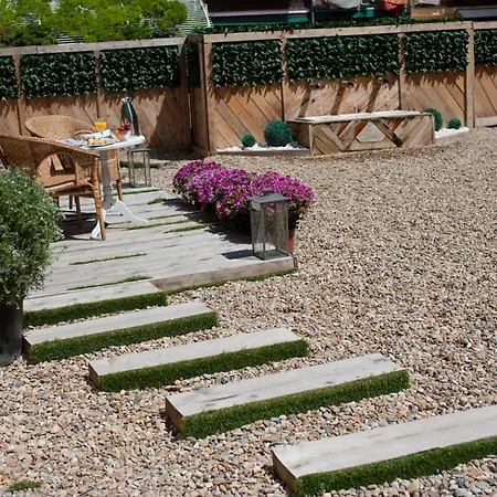 Bachome Terrace B&B-2