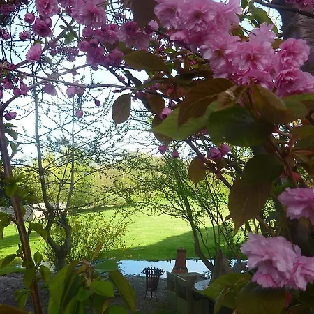 B&B Bloom-2