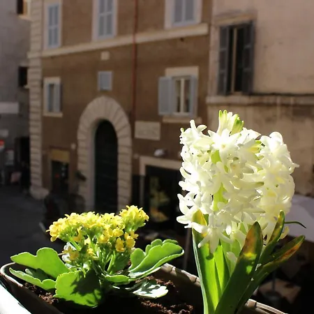 Hub Navona-3