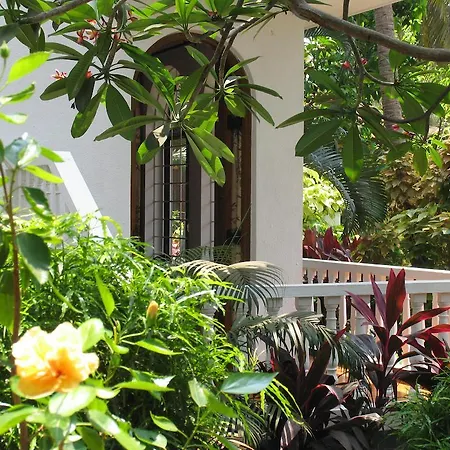 Albuquerque Betterhomes, Goa-3