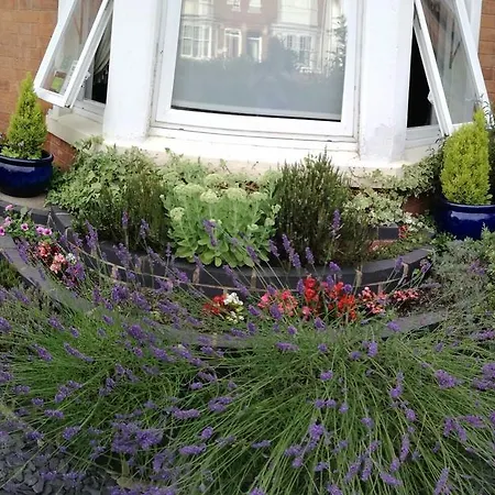 The Aidan Guest House-2