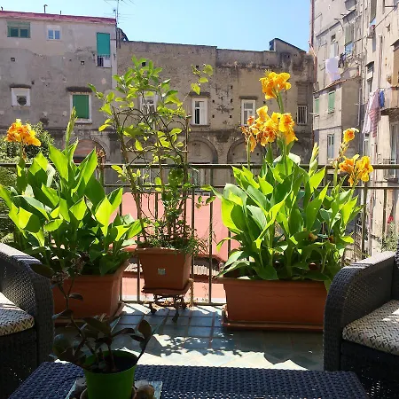 B&B Bellini-3