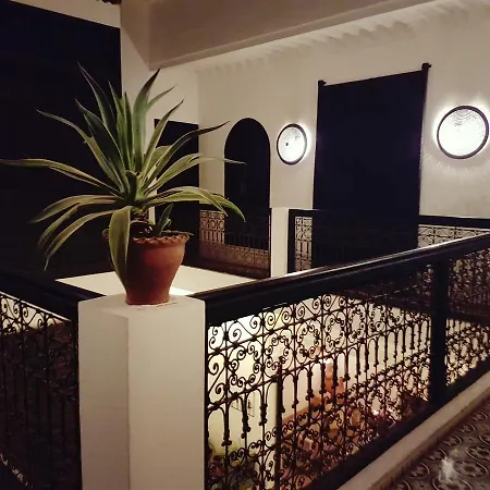 Riad Danka-2