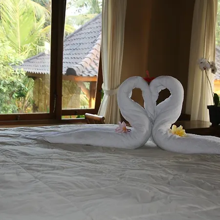 Mesari Hotel Ubud-3