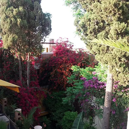 Riad Malika-2