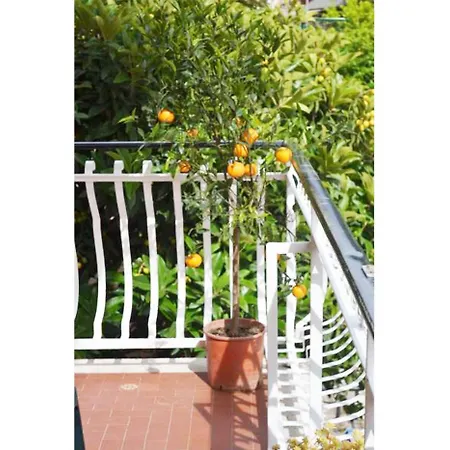 Casa Celeste-2