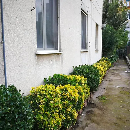 Il Giardino Di Vico Neve-2