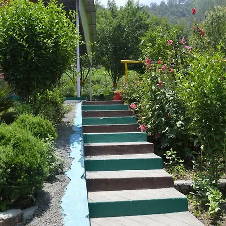 Nature Walk Resort-3