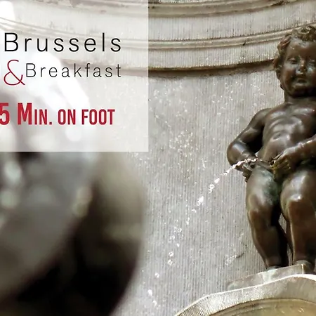 B&B X2Brussels-3