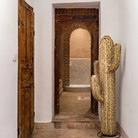Riad Laila-2