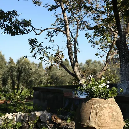 Villa Zagara - La Serra-3