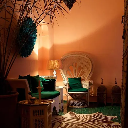 The Bohemian Jungle-3