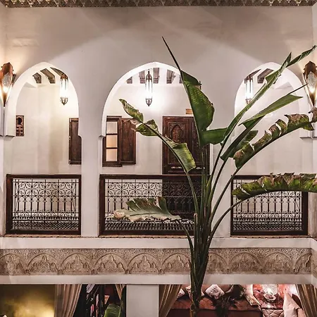 Riad Aguaviva-3