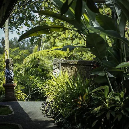 Angsoka Bungalow-2