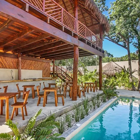 Zenses Wellness And Yoga Resort - Adults Only-2