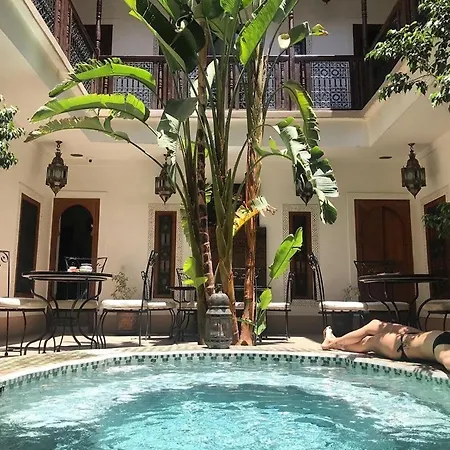 Riad Smara-3