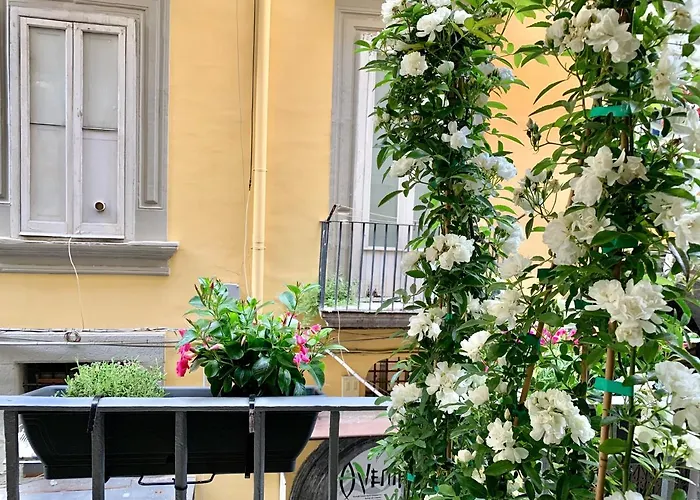 Toledo Boutique Rooms Naples