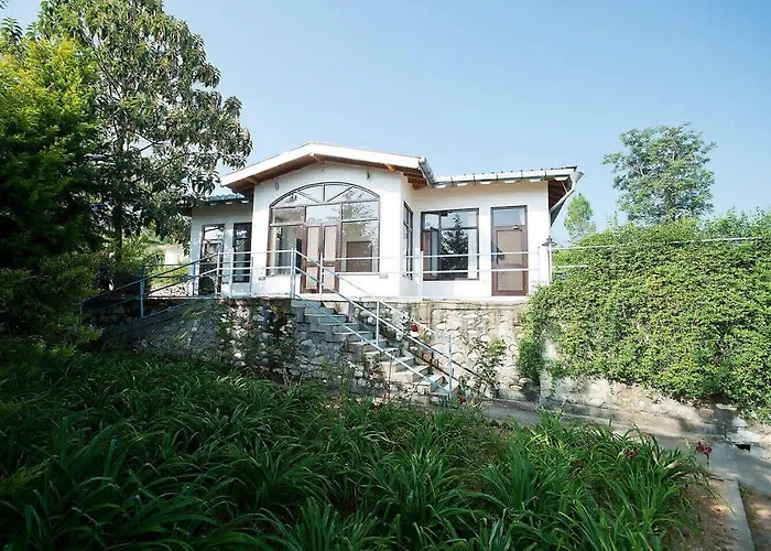Tree Of Life Junoon In The Hills Kumaon Hotel Nainital
