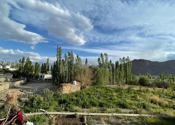 The Willow House Leh