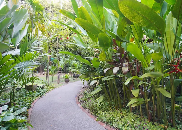 Yaang Come Village Hotel Chiang Mai