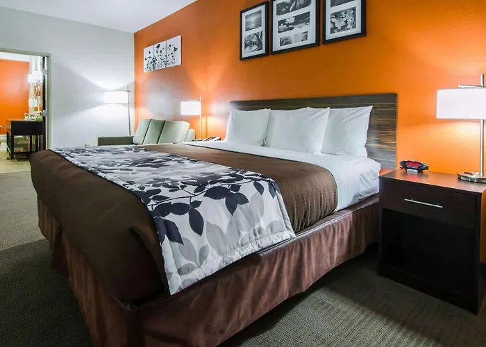Sleep Inn & Suites And Conference Center Downtown Indianapolis