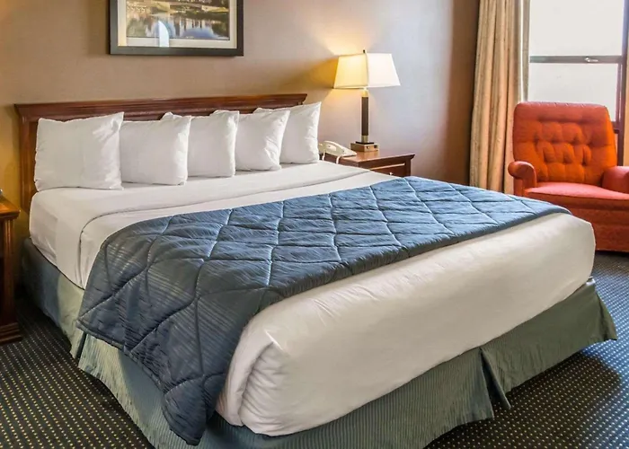 Quality Inn Schaumburg - Chicago Near The Mall