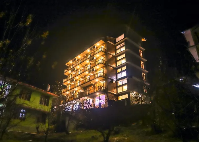 Hotel Old Smugglers With Balcony Mountain View Ac Hot And Cold Near To Hadimba Temple Manali 