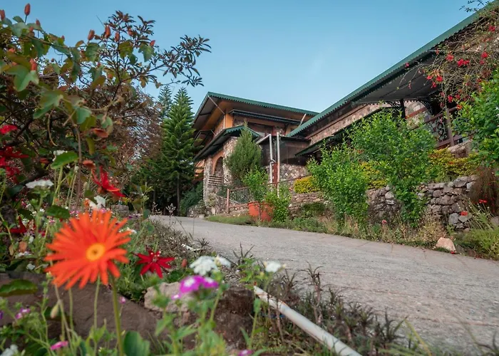 Tree Of Life Resort Dehradun Foothills