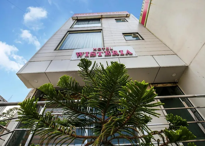 Hotel Wisteria Zirakpur - Main Highway Hotel