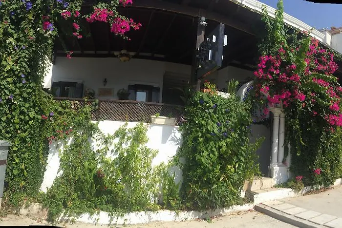 Pasha Motel Bodrum