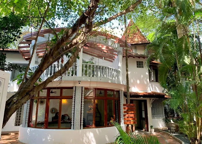Jungle Addition Phnom Penh