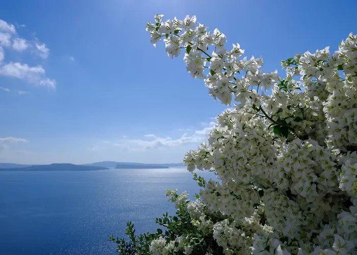 Thirea Suites Oia