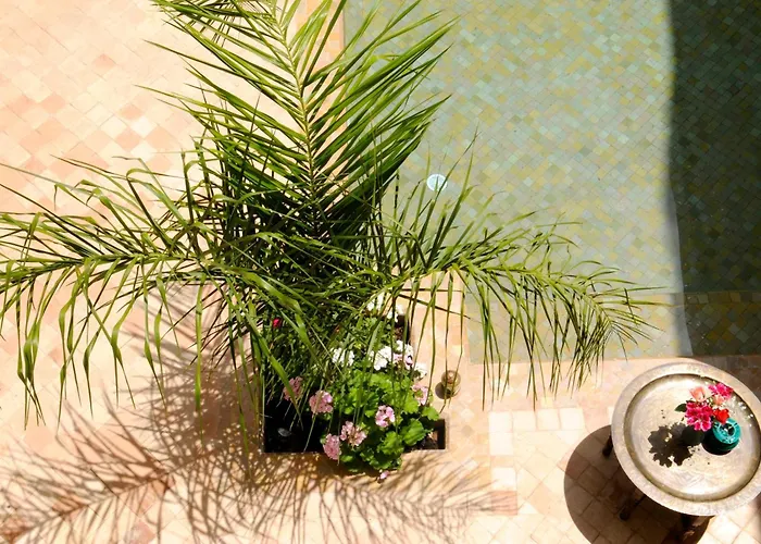 Riad Les Hibiscus Marrakesh