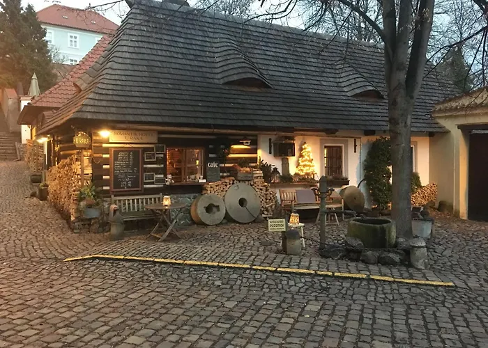 Romantik Hotel U Raka Prague
