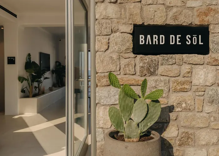 Bard De Sol Hotel Mykonos Town